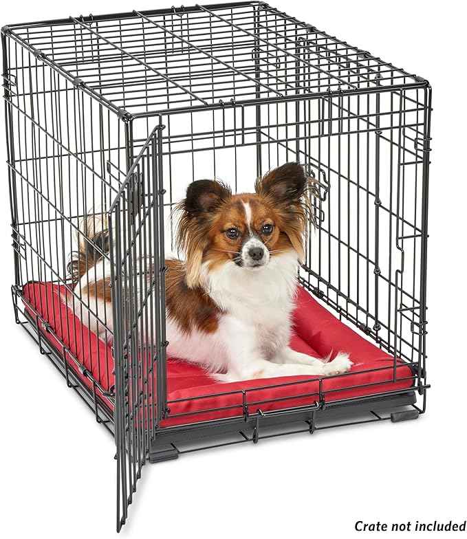 MidWest Homes for Pets Maxx Dog Bed Designed to Fit a 24-Inch Dog Crate 24-Inch, Red