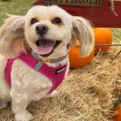 Voyager Step-in Air Dog Harness - All Weather Mesh Step in Vest Harness for Small and Medium Dogs and Cats by Best Pet Supplies - Harness (Fuchsia), XL (Chest: 20.5-23")