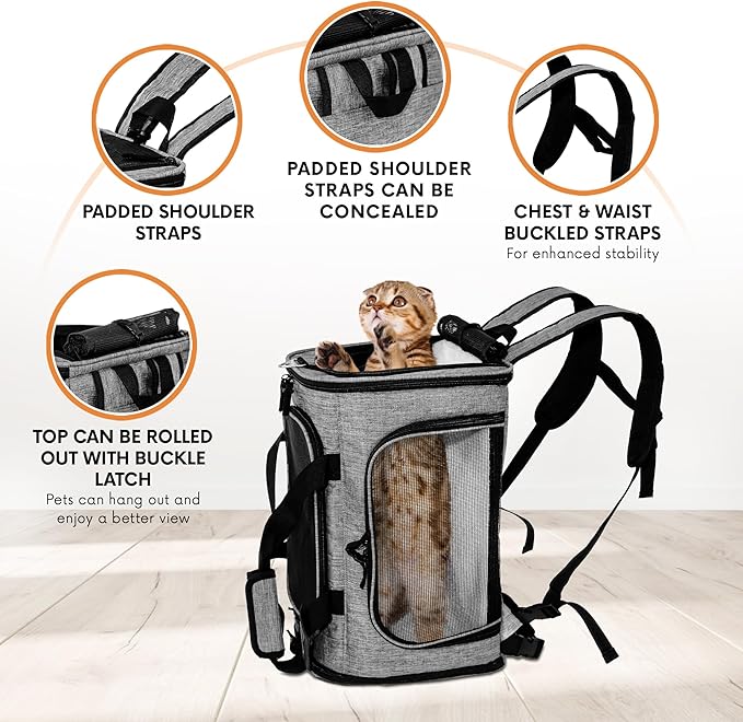 DCSP Pets Pet Carrier - Versatile Cat Carrier Converts to Backpack - Airline Approved Dog Bag Carrier with Mesh Widows - Suitable for Large Cats, Small Dogs - Soft Travel Carriers for Hiking, Walking