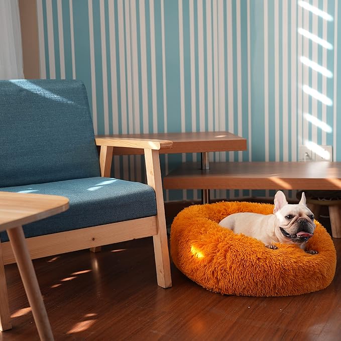 Dog Bed for Calming Dog 23 Inches Orange 25 lbs