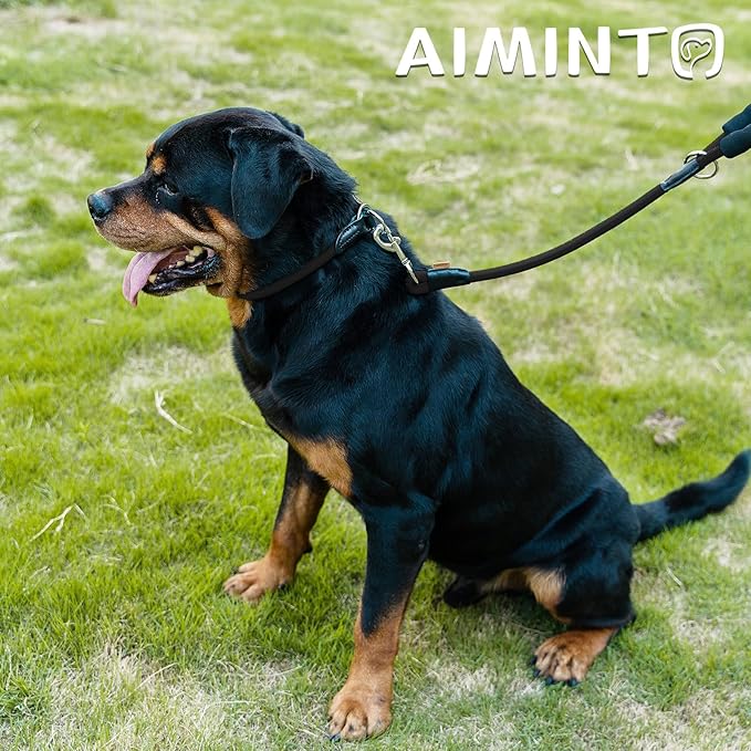 Dog Leash ((1/3") - 6FT, Black)