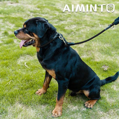 Dog Leash ((1/2") - 2FT, Black)