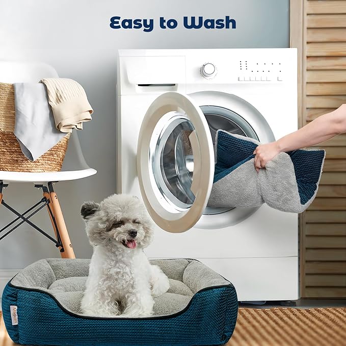 Miguel Dog Bed with Removable Cushion/Pillow for Medium Small Dogs 25 Inch