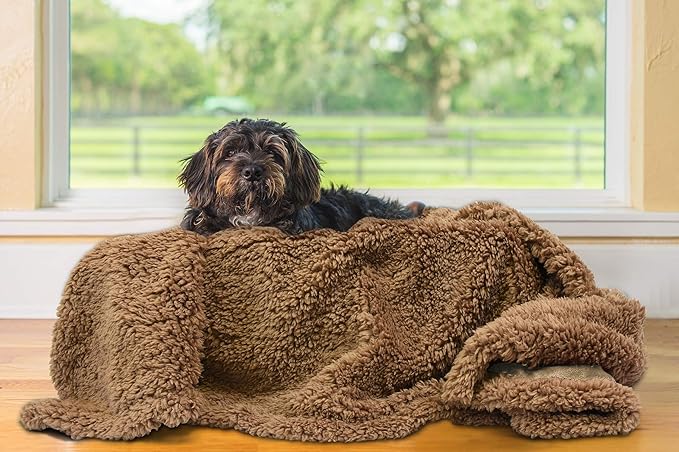 Puppy Blanket, Super Soft Sherpa Dog Blankets and Throws Cat Fleece Sleeping Mat for Pet Small Animals 45x30