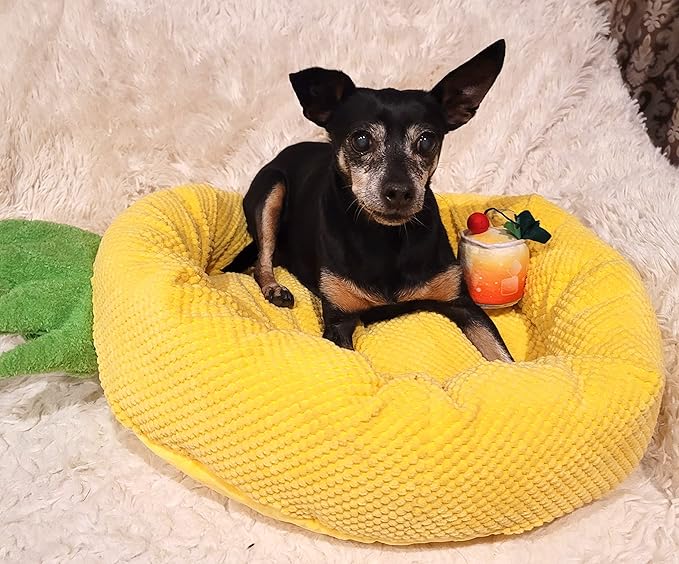 TONBO Soft Plush Small Cute and Cozy Food Dog Cat Bed, Washer and Dryer Friendly (Pineapple)