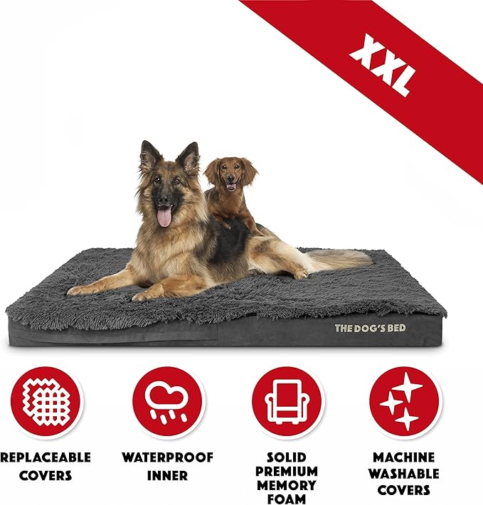 The Dog’s Bed Orthopedic Memory Foam Dog Bed 54x36, Pain