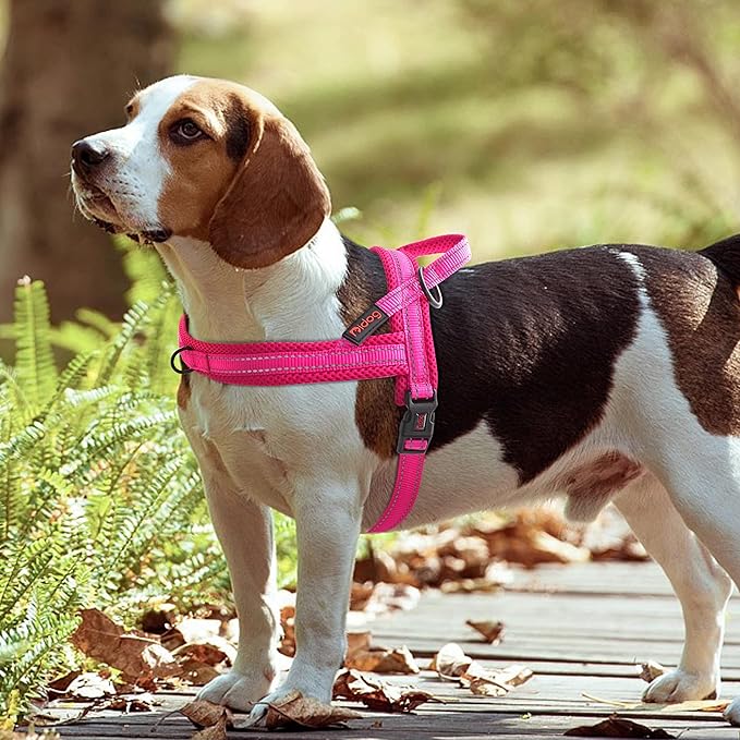 Didog Soft Mesh Padded Dog Vest Harness, Escape Proof/Quick Fit Reflective Dog Strap Harness,Easy for Walking Training (XS:Chest 15-18", Mesh-Hot Pink)