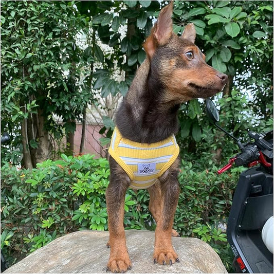 YQYS Dog Shirts Multi-color Striped Cotton Vest for Small Dogs and Cats Puppy Clothes Teacup Dog Clothing Tank Top for Chihuahua Miniature Pinscher Yellow Large