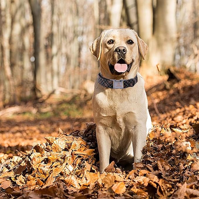Lionheart glory Premium Plaid Dog Collars Fall Dog