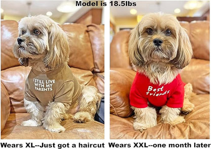 Cute Dog Clothes (XL-(16~20lb), Chest~20",