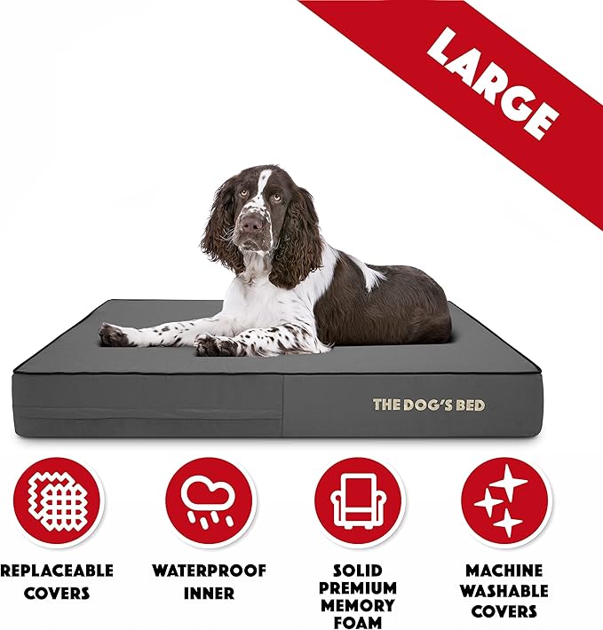 The Dog’s Bed Orthopedic Memory Foam Dog Bed 40x25, Pain