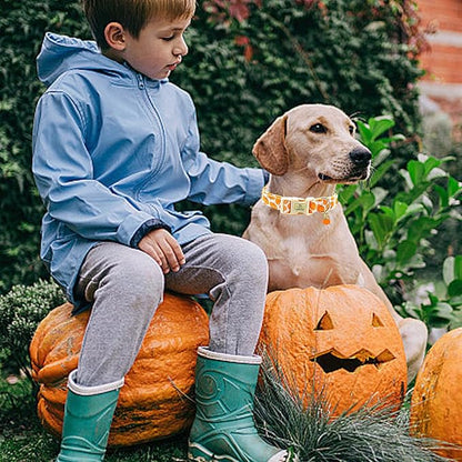 Lionheart glory Halloween Dog Collars Pumpkin Pink Dog