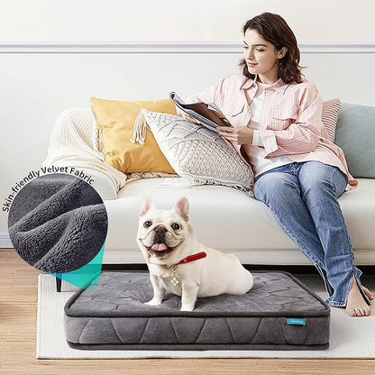 Orthopedic Dog Bed for Small Dogs and Cats，3 Inch Thick Washable Dog Bed