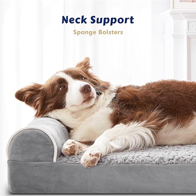 Orthopedic Dog Beds Medium Sized Dog