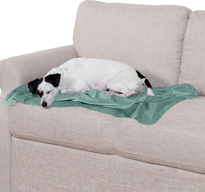 Furhaven Waterproof Throw Blanket for Dogs & Indoor Cats, Washable - Two-Tone Luxe Velvet Dog Blanket - Celadon Green, Medium