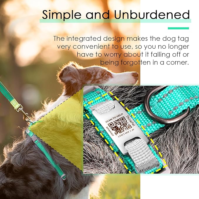 ThinkPet Reflective Breathable Soft Air Mesh with QR Code Dog Tag Puppy Choke Free Over Head Vest Harness for Puppy Small Medium Dogs and Cats Small Teal