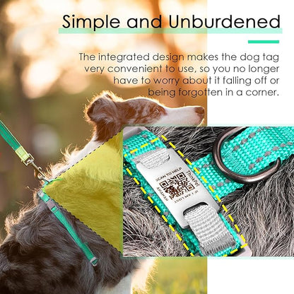 ThinkPet Reflective Breathable Soft Air Mesh with QR Code Dog Tag Puppy Choke Free Over Head Vest Harness for Puppy Small Medium Dogs and Cats Small Teal