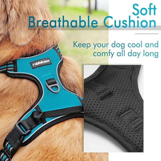 rabbitgoo Dog Harness, No-Pull Pet Harness with 2 Leash Clips, Adjustable Soft Padded Dog Vest, Reflective No-Choke Pet Oxford Vest with Easy Control Handle for Large Dogs, Teal, L