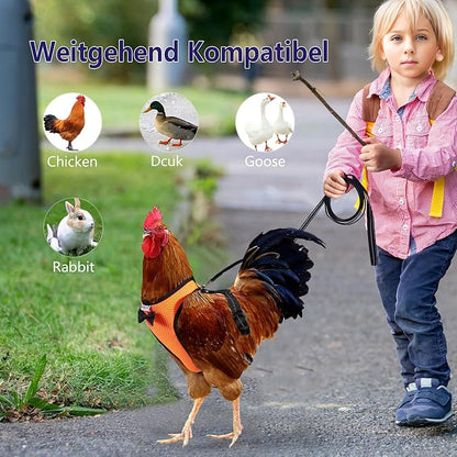 Chicken Harness Hen Size with 6ft Matching Leash – Adjustable, Resilient, Comfortable, Breathable, Small, Suitable for Chicken Weighing about 2.2 Pound,red (Months, Orange)