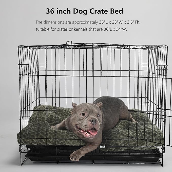 Dog Crate Bed 36 x 24 Crate Pads 70 lbs