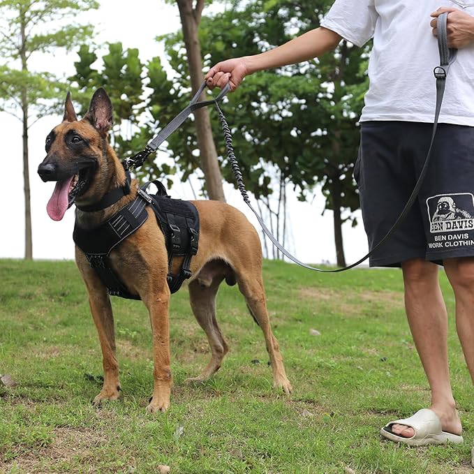 ICEFANG Tactical Dog Leash K9 Training 2 Control 6 FT)