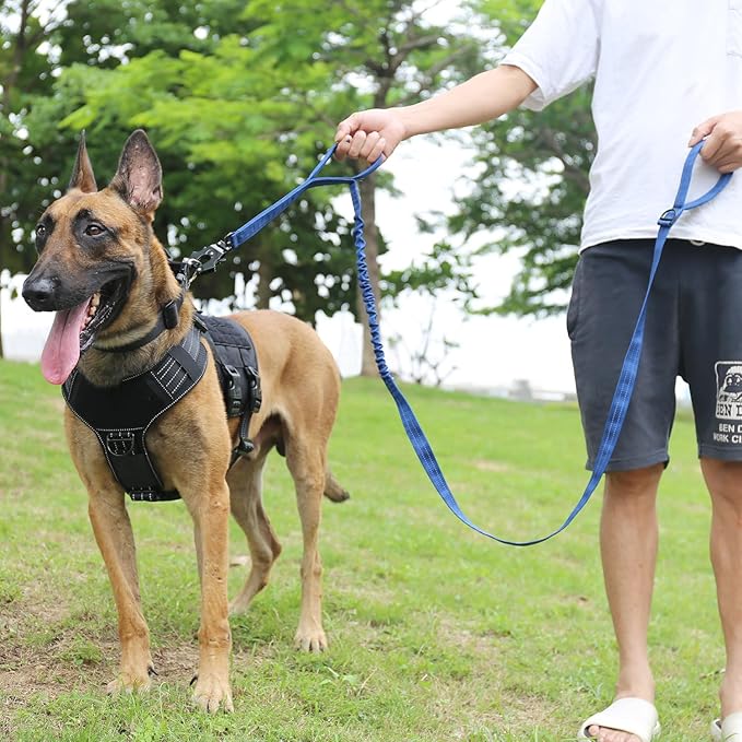 ICEFANG Tactical Dog Leash K9 Training 2 Control 6 FT)