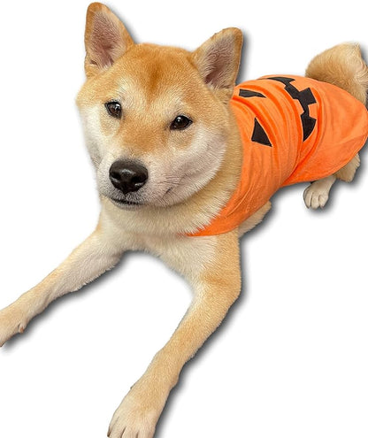 ComfyCamper Pumpkin Dog Costume - X Large Medium Small Shepherd French Lab Retrieve Pet Cosplay Halloween Costumes (Small)