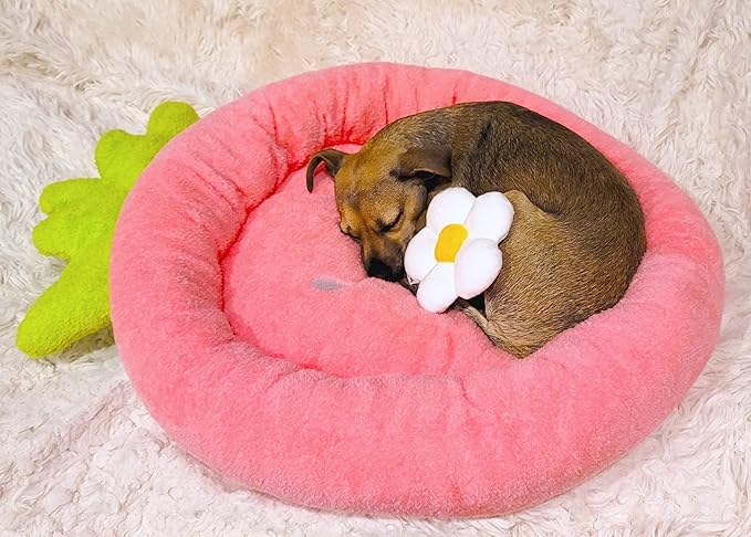 TONBO Soft Plush Small Cute and Cozy Food Dog Cat Bed, Washer and Dryer Friendly (Strawberry)