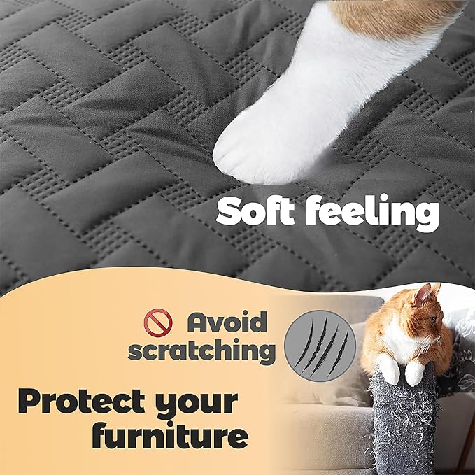 gogobunny 100% Double Sided Waterproof Dog Blanket Soft Pet Bed Cover Reversible Protect Furniture Couch Sofa Car for Puppy Cat Kids (Dark Grey/Light Grey 30x30 Inch 1))