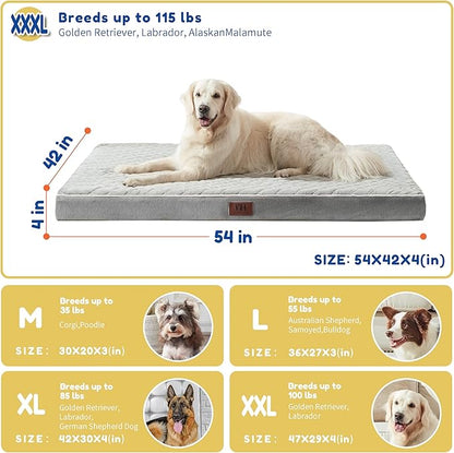 Orthopedic Dog Beds for Large Dogs with Removable Washable Cover 54 inch,