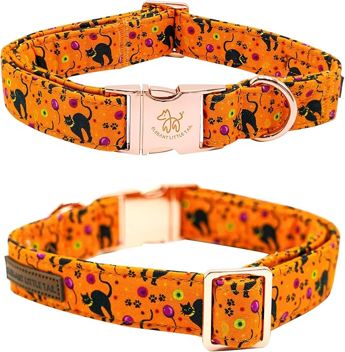 Elegant little tail Fall Dog Collar