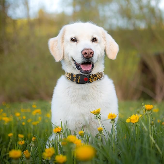 Cute Floral Dog Collar for Small Medium Large Dogs 1,L