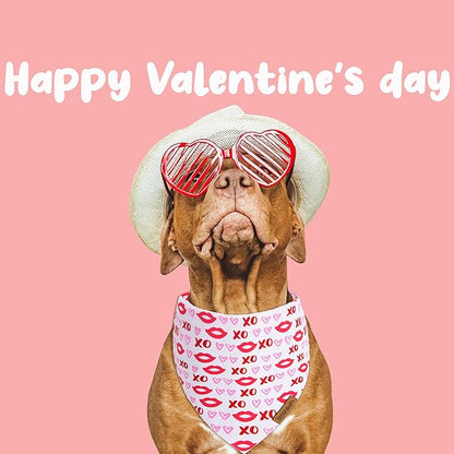 Valentines Day Dog Bandana 2 Pack