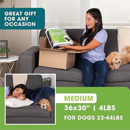 BARMY Weighted Blanket for Dogs with Washable Cover (3 Sizes) Thunder Blankets for Dogs