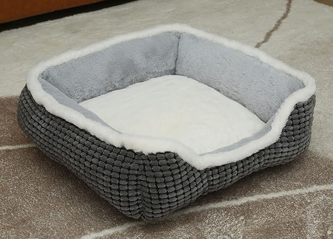 Dog Beds for Small Dogs