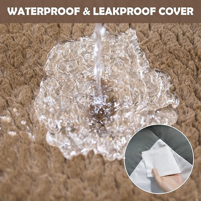 Dog Beds for Medium Dogs