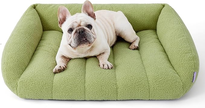 Lesure Orthopedic Dog Bed Sofa for Medium Dogs Foam(28" x 23" x 10", Green)