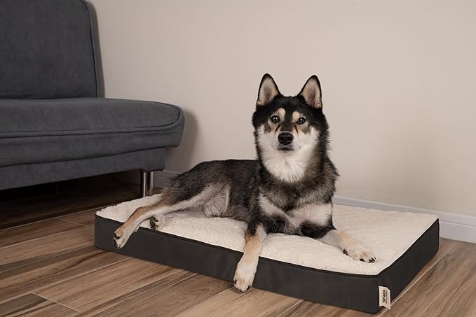 Best Pet Supplies Cute Dog Bed Mat Flat Mattress with Waterproof Exterior 24X16X3