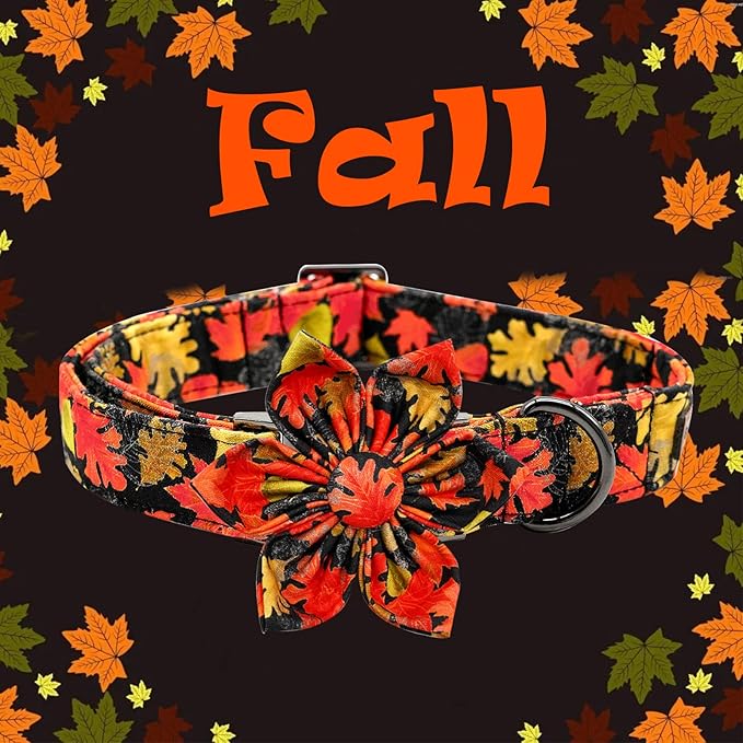 Elegant little tail Dog Collar with Flower