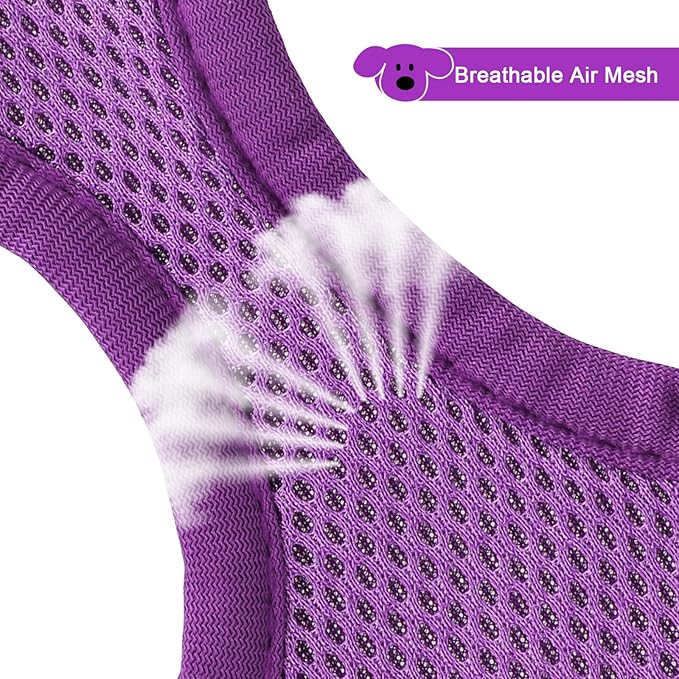 YIMEIS Dog Harness and Leash Set, No Pull Soft Mesh Pet Harness, Reflective Adjustable Puppy Vest for Small Medium Large Dogs, Cats (Purple, X-Small (Pack of 1)