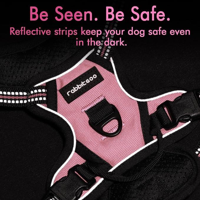 rabbitgoo Dog Harness, No-Pull Pet Harness with 2 Leash Clips, Adjustable Soft Padded Dog Vest, Reflective No-Choke Pet Oxford Vest with Easy Control Handle for Small Dogs, Pink, XS