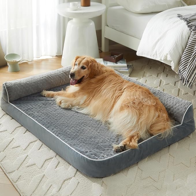 Orthopedic Dog Beds for Large Dogs