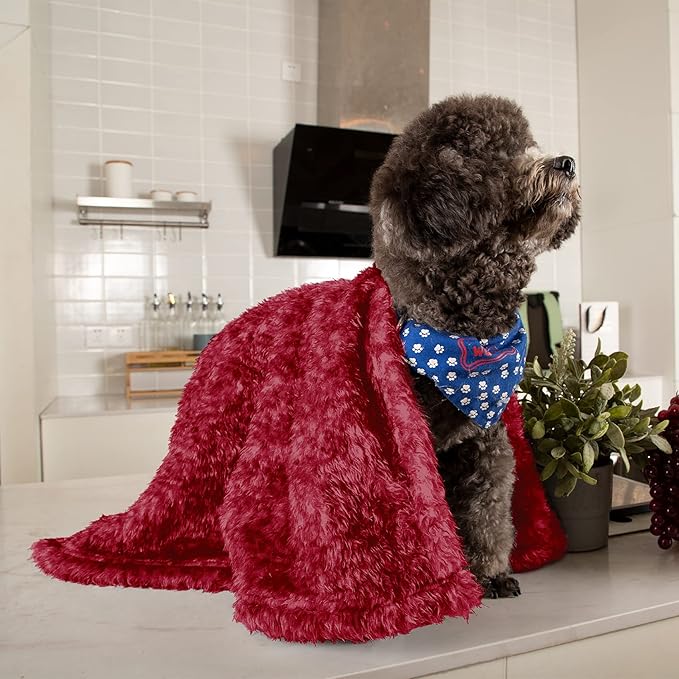 MACEVIA Fluffy Fleece Dog Blankets (24x29 Inch,