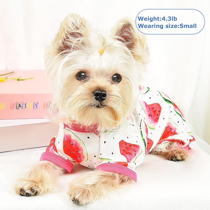 Breathable Cotton Watermelon Pet Clothes Dog Pajamas for Small Dogs Teacup Chihuahua Yorkie Puppy Clothes Dog Pjs Onesie, X-Small