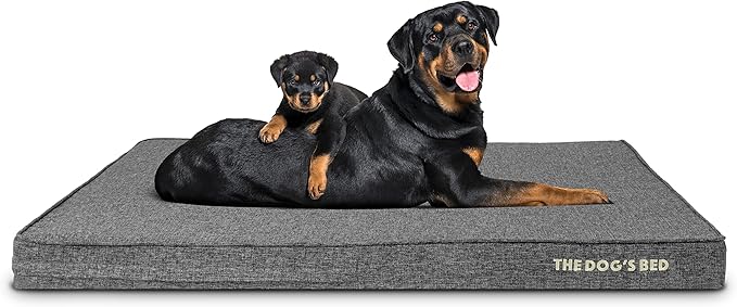 The Dog’s Bed Orthopedic Memory Foam Dog Bed 2XL GreyLinen 54x36, Pain