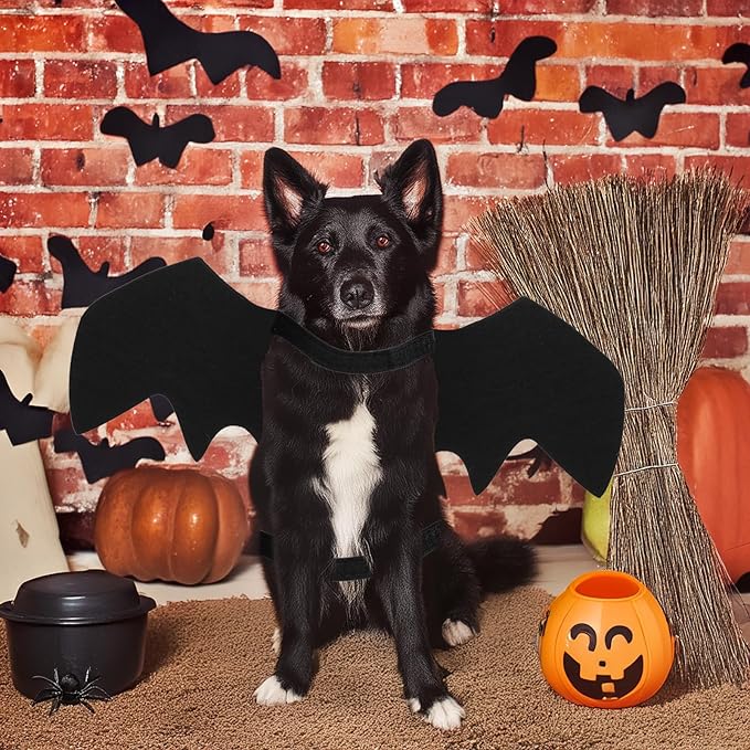 Halloween Cat Costume Black Felt Bat Wings Costume for Halloween Party Decoration, Puppy Collar Leads Cosplay Bat Clothes Small Halloween Cute Dress up Accessories Pet Apparel for Dogs & Cats Only