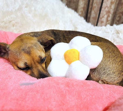 TONBO Soft Plush Small Cute and Cozy Food Dog Cat Bed, Washer and Dryer Friendly (Strawberry)