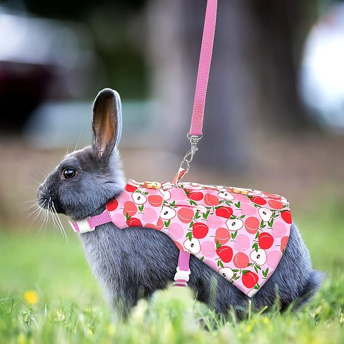 3 Piece Cute Rabbit Leash and Harness Set, Bunny Rabbit Dress Clothes Walking Harness Vest Escape Proof Pet Supply for Rabbit Hedgehog Ferret Guinea Pig (Peach, Pineapple, Strawberry)