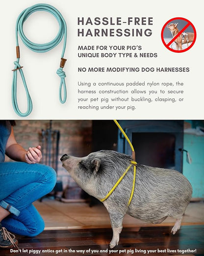 Mini Pig Harness & Leash (S/M) Fully Adjustable, Infinity Style Lead, Step-in Harness, Potbelly Pig Supplies, All-in One, Pig Leash, Ideal for Small & Medium Pet Pigs (Small, Eggshell Blue)