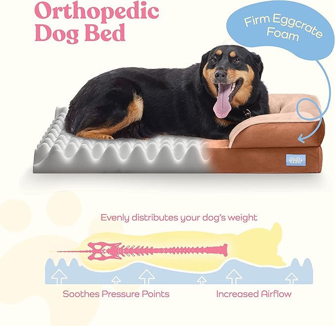 Pitpet Large Dog Bed